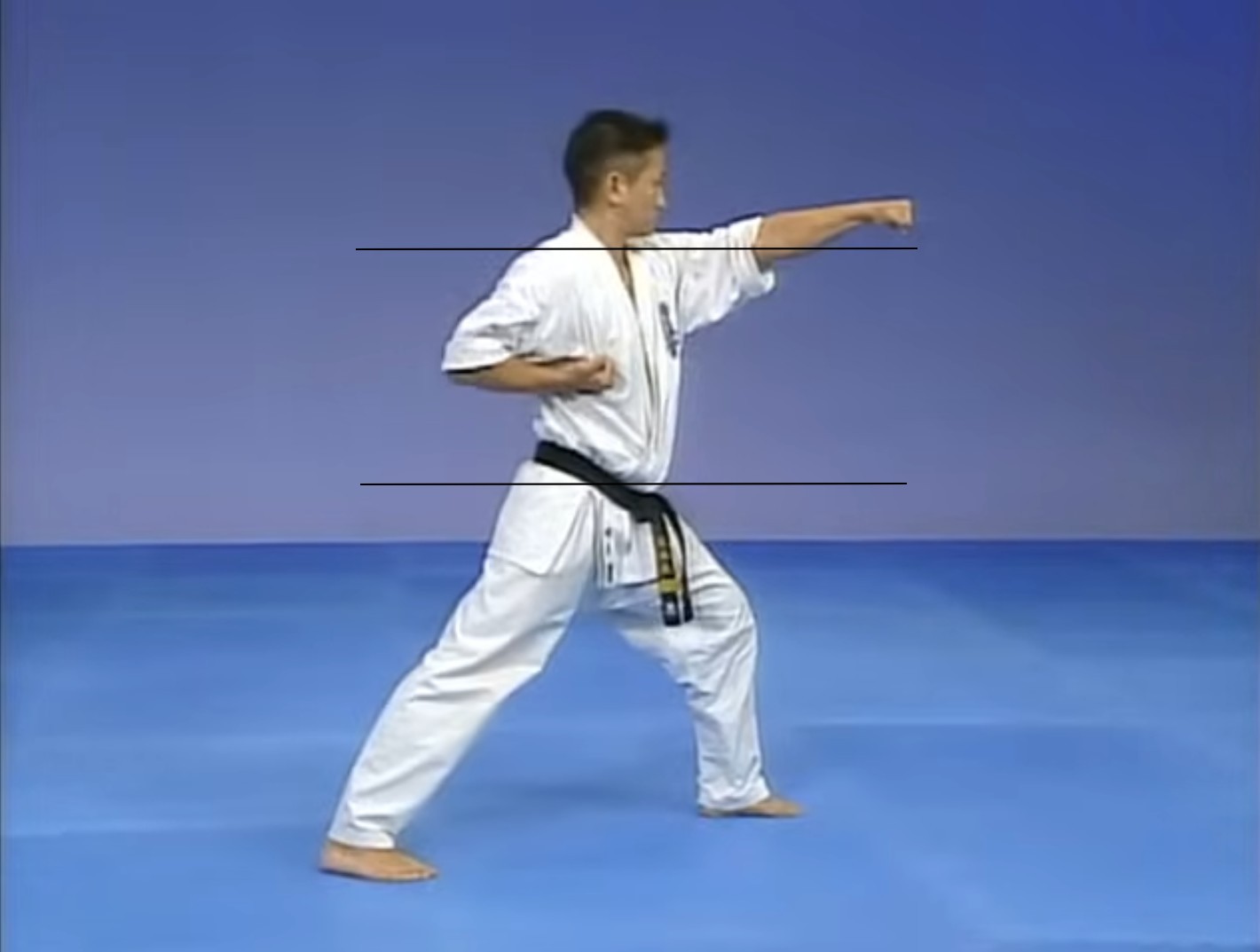 oi seiken jodan tsuki