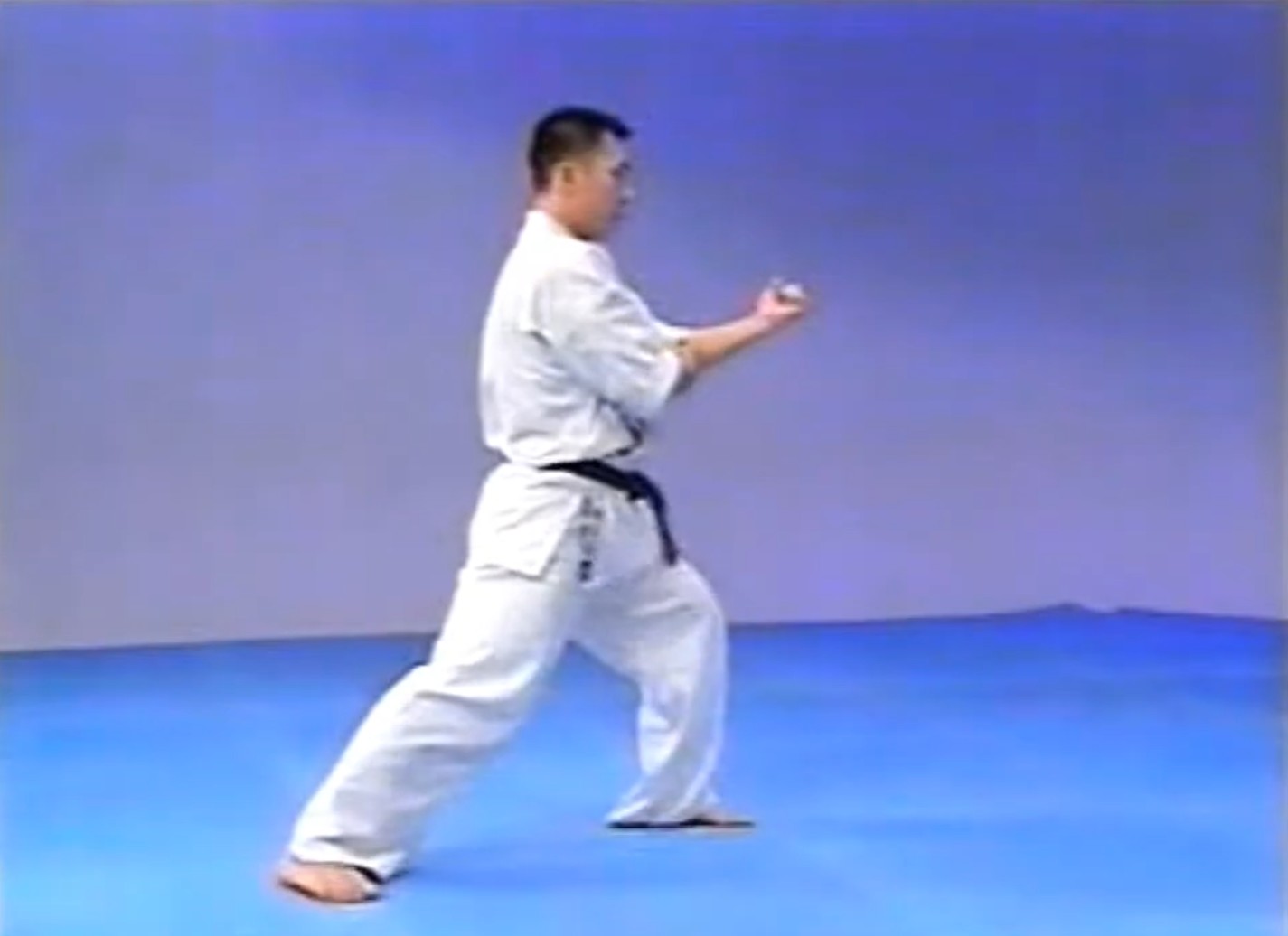 morote seiken uchi uke